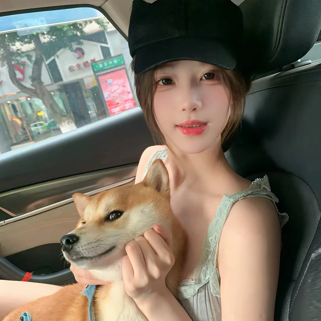 神驹黑美人