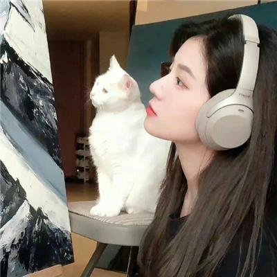 阳光以西